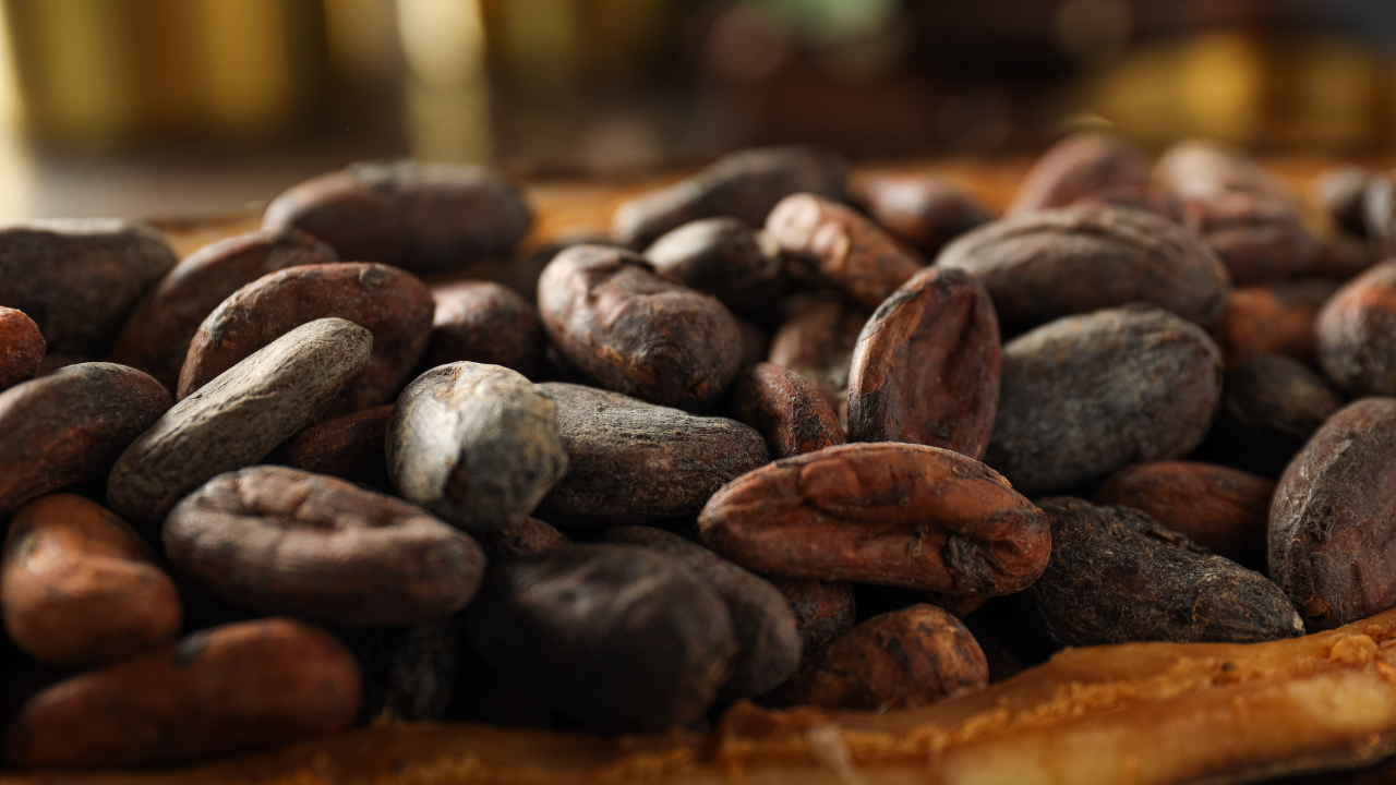 Cocoa Futures Hover Near 2023 Lows as Supply Improves