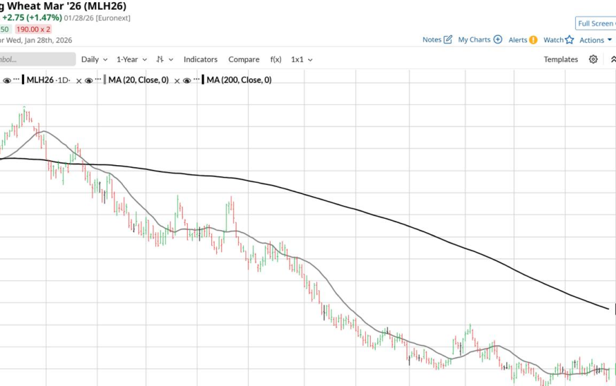 Wheat Price Forecast: Strong Euro Pressures Euronext