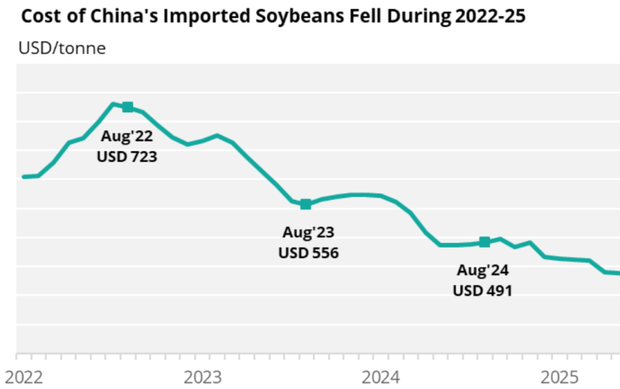 Soybean Price Forecast: China Demand Hopes Lift CBOT Futures