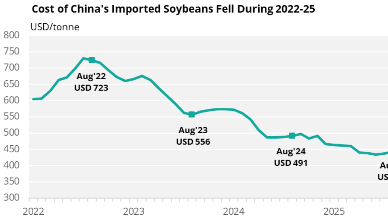 Soybean Price Forecast: China Demand Hopes Lift CBOT Futures